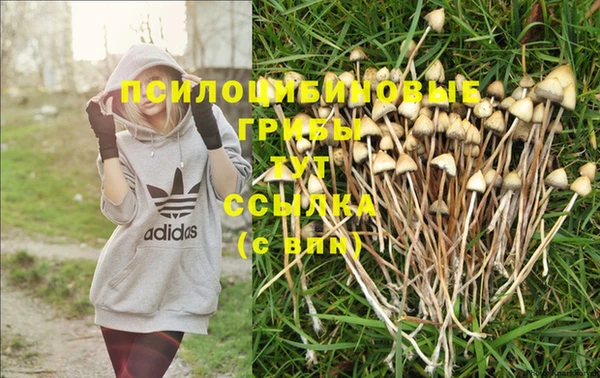 каннабис Гусиноозёрск