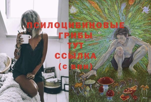 каннабис Гусиноозёрск