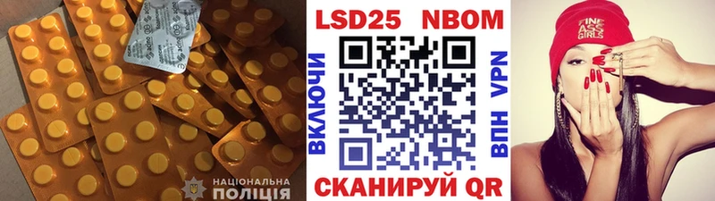 shop наркотические препараты Новоржев ЛСД экстази ecstasy где купить